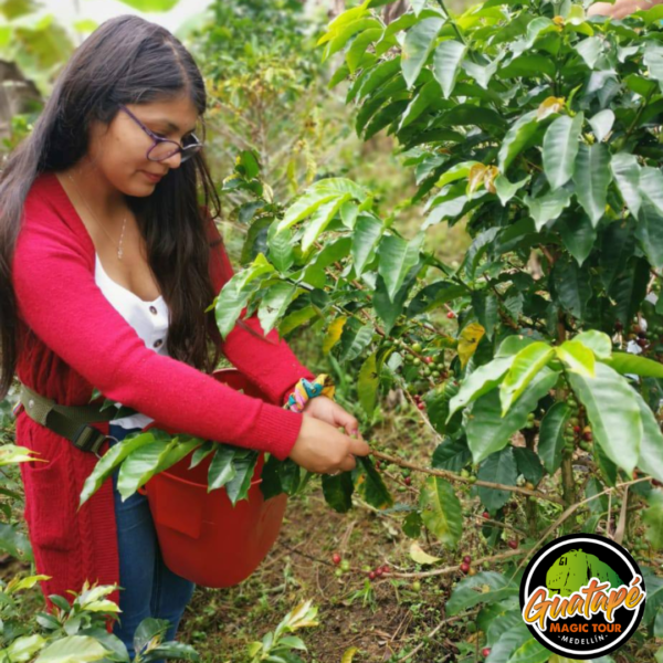 COFFE TOUR GUATAPE - Image 8